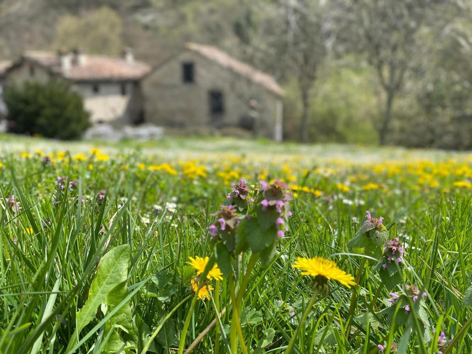 Borgo Corniola B&B Naturista Marradi Eksteriør bilde