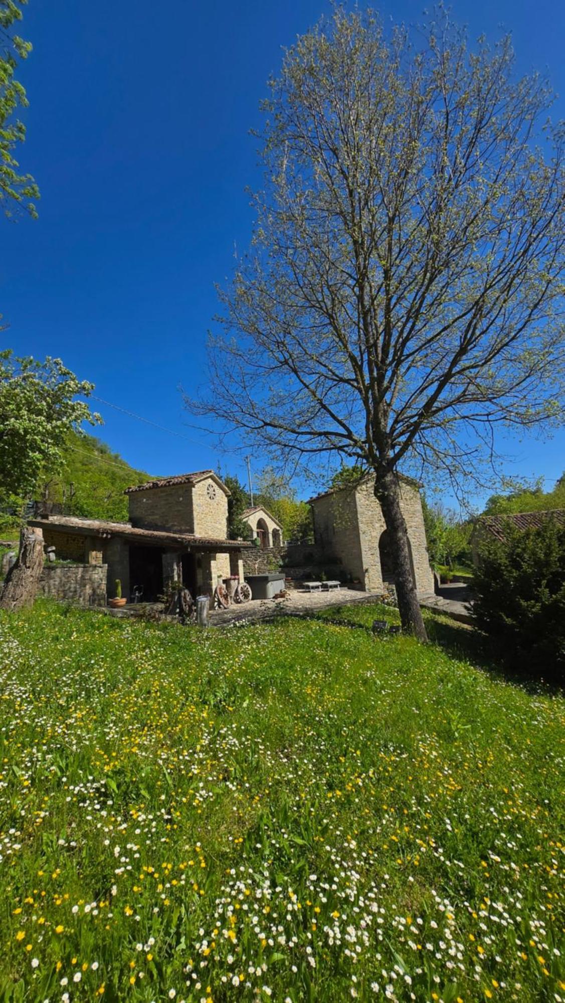 Borgo Corniola B&B Naturista Marradi Eksteriør bilde